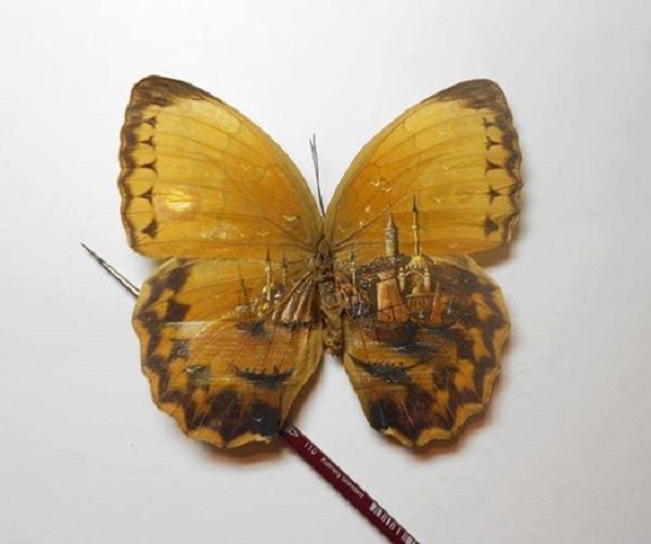 micro disegni ali farfalla