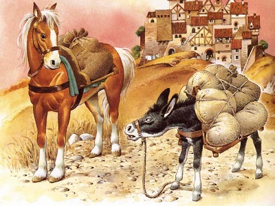 sesso cavallo asino