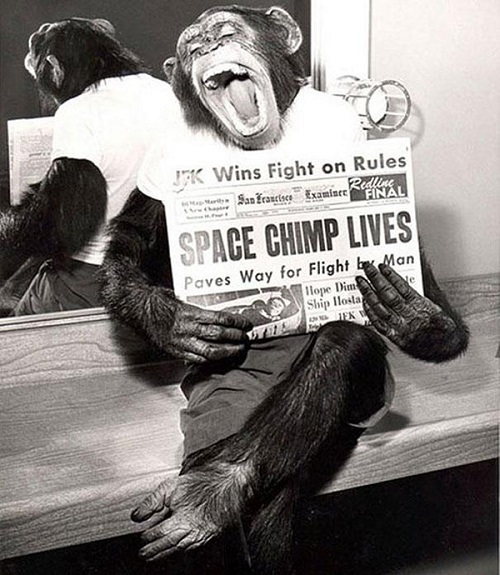 36-missione scimpanzè nello spazio