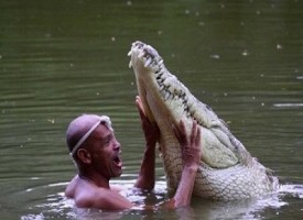 Un pescatore in Costa Rica trova un coccodrillo ferito e lo accudisce. Oggi i due sono grandi amici.