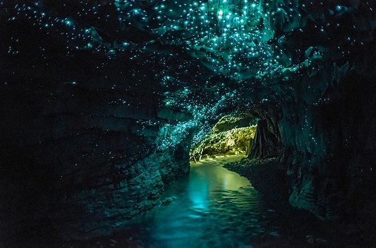Grotta di Waitomo Glowworm Nuova Zelanda