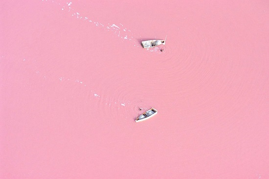 Lago rosa Hillier Australia