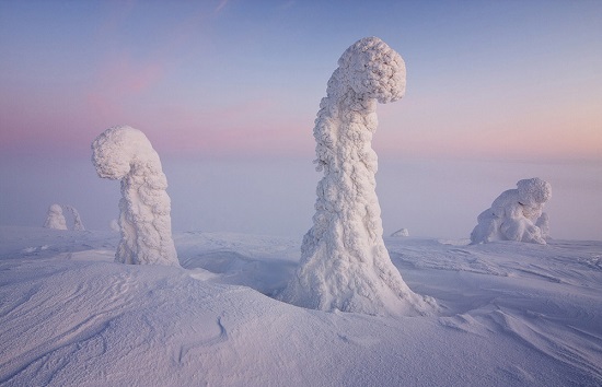 Sentinelle artico Finlandia