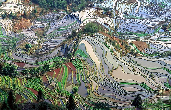 terrazze di riso di Yuanyang Cina