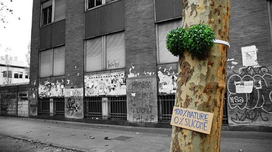 street art albero