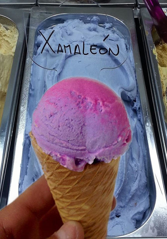 gelato xamaleon