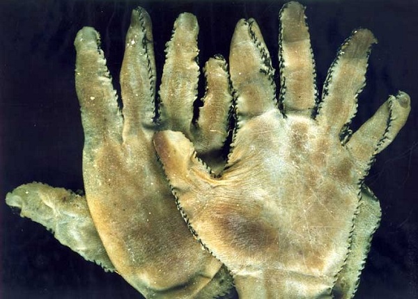guanti in pelle umana