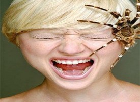 Donna vive per un mese con un ragno nell’orecchio‏