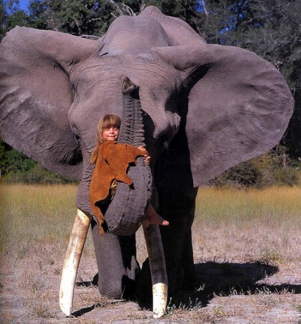 bambina elefante savana