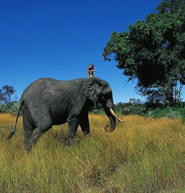 bambina gioca con elefante