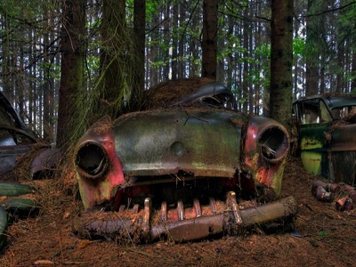cimitero foresta auto belgio