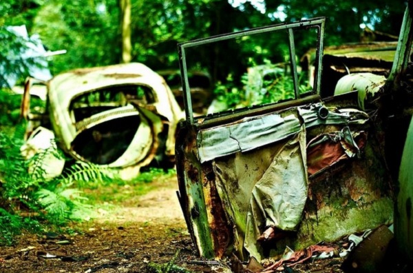 automobili abbandonate foresta belgio