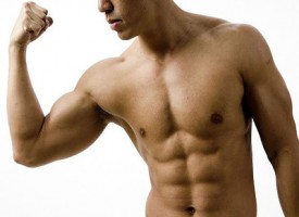 Quanti muscoli ci sono nel corpo umano?