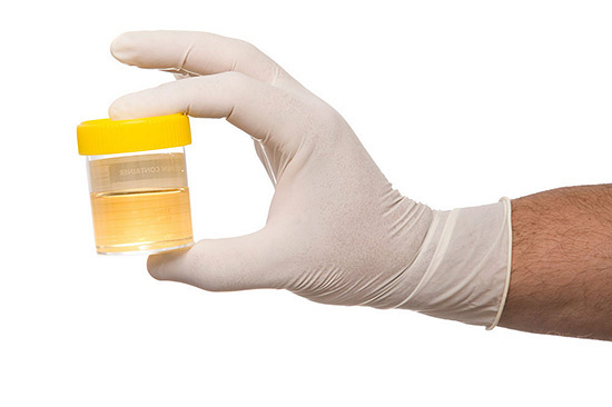 urina bioenergy bristol