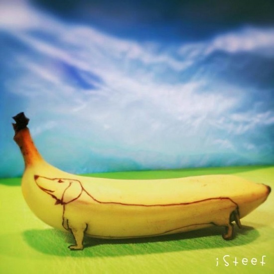 cane fatto con le banane