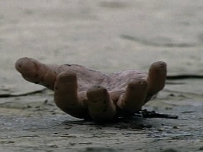ragazzo si taglia la mano