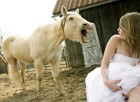 la donna cavallo
