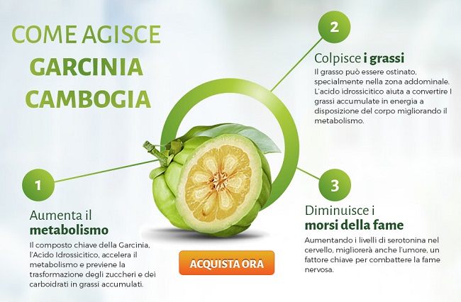 garcinia cambogia pure dimagrire