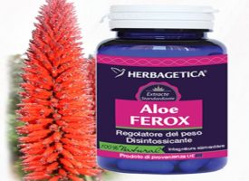 Aloe Ferox capsule per perdere peso: dimagrire e rimanere in forma nel tempo