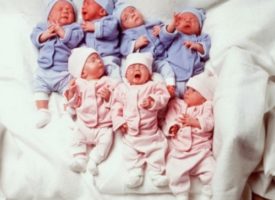Ecco 19 anni dopo i 7 gemelli che sopravvissero tutti al parto (record mondiale)