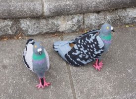 Dal Giappone arrivano le scarpe a forma di piccione