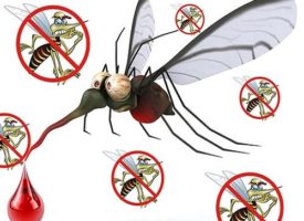 7 motivi per cui si viene punti dalla zanzare molto di più di chiunque altro